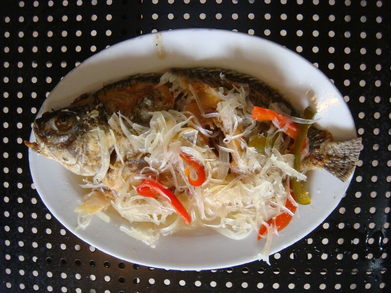 File:Tilapiajf.JPG