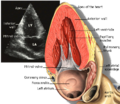 Thumbnail for version as of 19:19, 4 June 2026