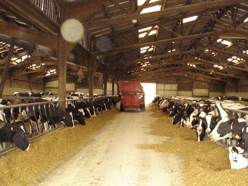 File:Feeding TMR.JPG