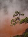 Hot spring