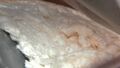 Thumbnail for version as of 02:13, 7 June 2026
