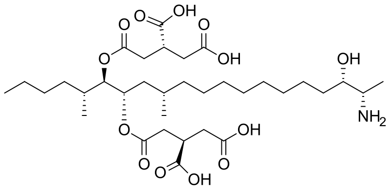 File:Fumonisin B4.svg
