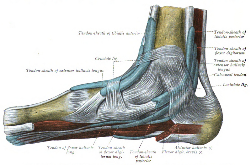 File:Sobo 1909 316.png