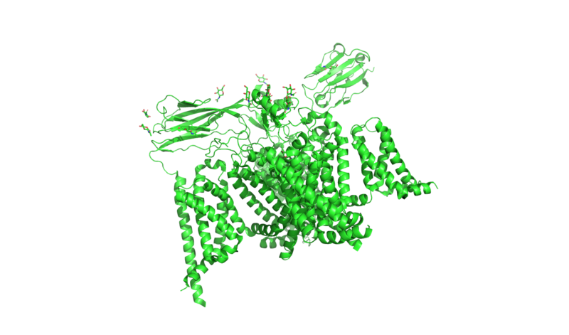 File:NaV 1.7 PDB 6j8j.png