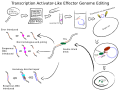 Thumbnail for version as of 22:26, 8 June 2026