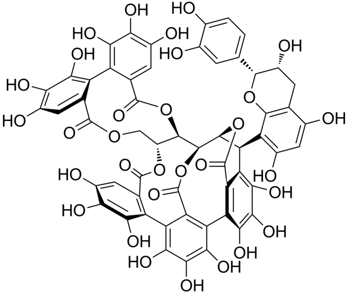 File:Epicutissimin A.png