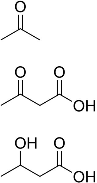 File:Ketone bodies.png