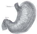 Thumbnail for version as of 17:28, 18 May 2026