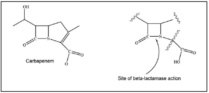 File:Site of cleavage by beta-lactamase.jpg