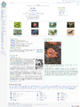 Thumbnail for version as of 22:25, 8 June 2026