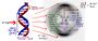 Thumbnail for version as of 02:09, 7 June 2026