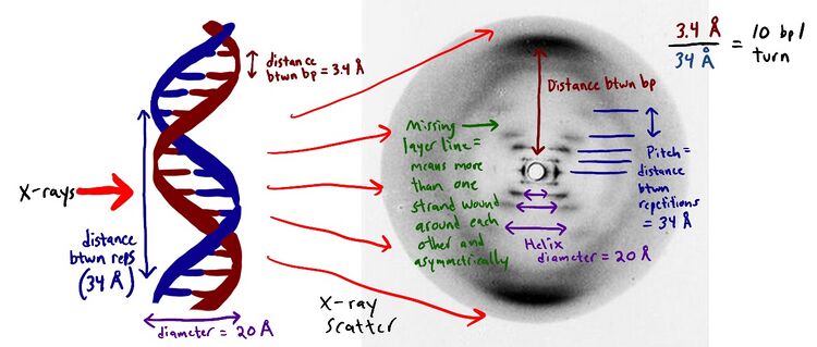 File:60251254 photo-51-print-qp867-a4 2.jpg