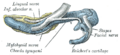 Thumbnail for version as of 17:28, 18 May 2026