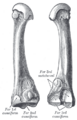 Thumbnail for version as of 17:28, 18 May 2026