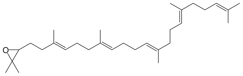 File:2,3-oxidosqualene.svg