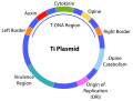 Thumbnail for version as of 22:33, 8 June 2026