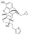 Thumbnail for version as of 01:55, 22 May 2026