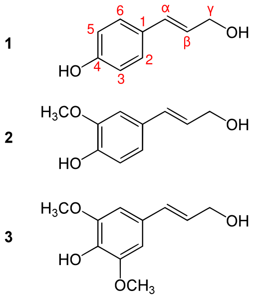 File:Monolignols general.svg