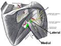 Thumbnail for version as of 13:40, 23 May 2026