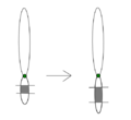 Thumbnail for version as of 12:49, 29 May 2026