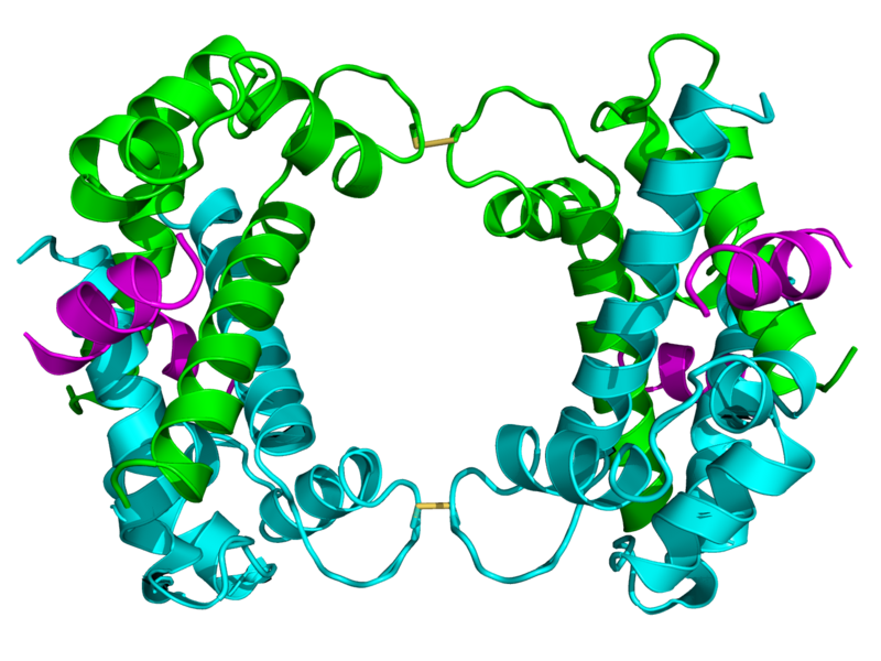 File:1BT6 tetramer.png