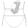 Thumbnail for version as of 17:27, 18 May 2026