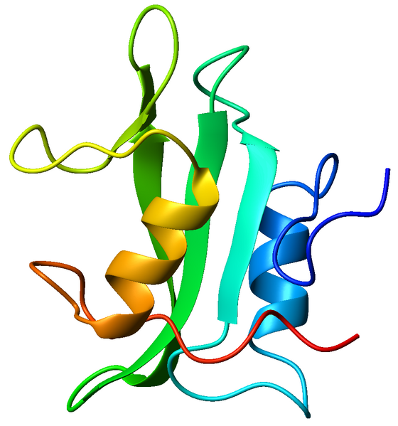 File:1lkkA SH2 domain.png