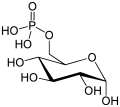 Alpha-D-Glucospyranose-6-Phosphate