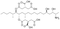 Thumbnail for version as of 21:06, 21 May 2026