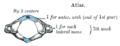 FIG. 104– Atlas. (Picture From the Classic Gray's Anatomy)