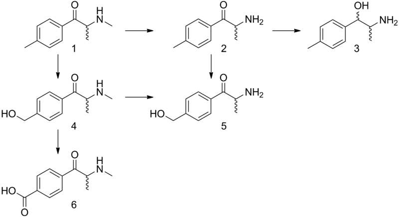 File:Mephedrone metabolism.png