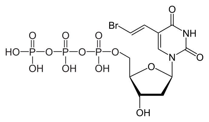 File:Brivudine triphosphate.svg