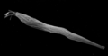 Thumbnail for version as of 13:39, 8 June 2026
