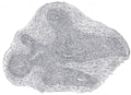 Thumbnail for version as of 17:28, 18 May 2026