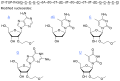 Thumbnail for version as of 12:16, 21 May 2026