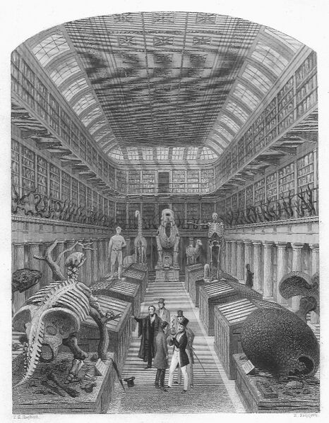File:1853 - Hunterian Museum.jpg