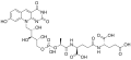 Thumbnail for version as of 14:42, 24 May 2026
