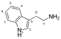 Structure of Tryptamine