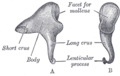Thumbnail for version as of 17:28, 18 May 2026