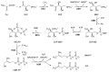 Thumbnail for version as of 12:16, 21 May 2026