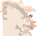 Thumbnail for version as of 03:41, 2 June 2026