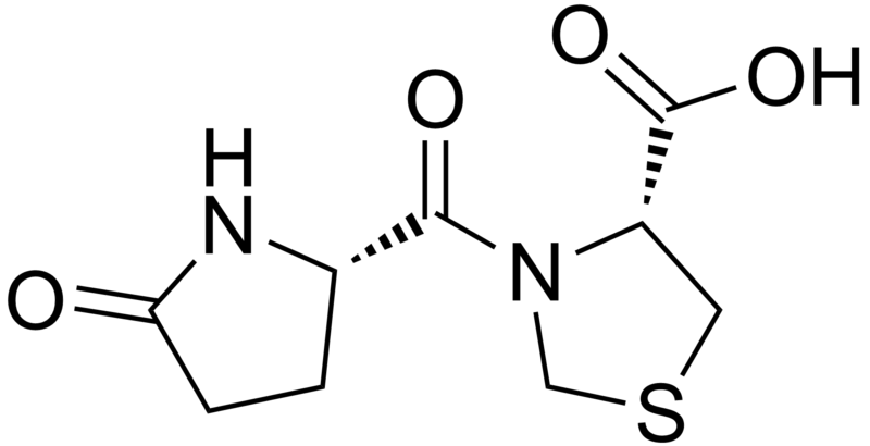 File:Pidotimod.png
