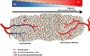 Thumbnail for version as of 22:27, 8 June 2026