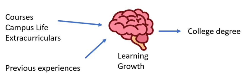 File:Brain learning.png
