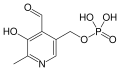 Pyridoxal phosphate structure