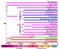Thumbnail for version as of 22:25, 8 June 2026