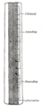 Thumbnail for version as of 17:28, 18 May 2026
