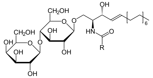 File:Lactosylceramid.svg