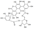 Thumbnail for version as of 16:41, 21 May 2026