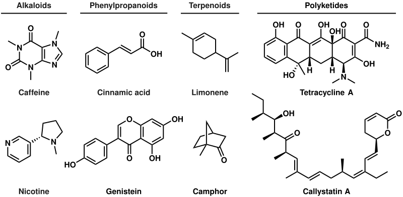 File:Secondary metabolite class examples.svg